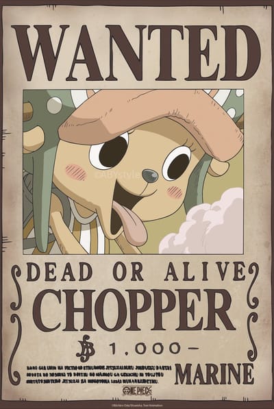 Poster One Piece - Wanted Chopper Wano 38x52cm