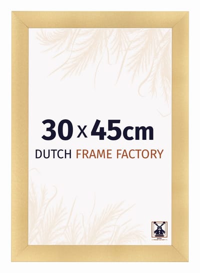 Fotolijst 30x45 cm - MDF - Goud Mat - Praag