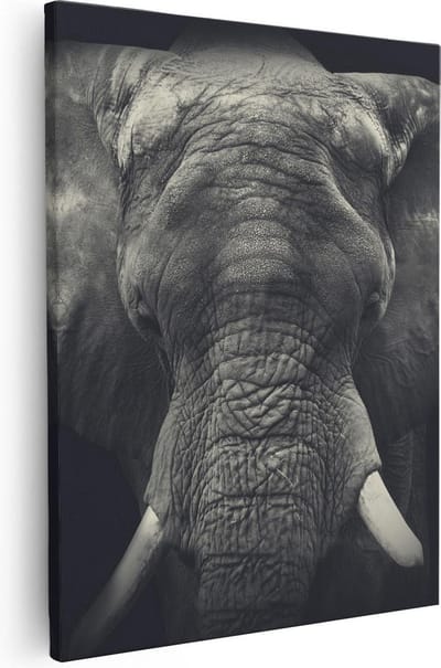 Artaza Canvas Schilderij Dierenkop Olifant - 40x50 cm - Muurdecoratie Zwart Wit - Wanddecoratie Dieren - Kamer Accessoires Woonkamer