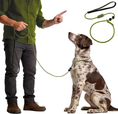 Honden slipriem - Trainingslijn - Gedrag corrigeren - Verstelbaar en zacht - 180 cm lang 0.5 cm breed - Zeegroen