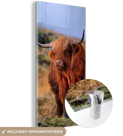 MuchoWow® Glasschilderij 20x40 cm - Schilderij acrylglas - Schotse Hooglander - Gras - Stenen - Foto op glas - Schilderijen