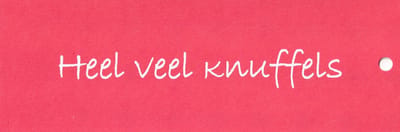 Bloemenkaartjes - 25 stuks - Mini Kaartjes - 5 x 15 cm - Bloemist - Kadootjes - Heel veel knuffels - JK-212