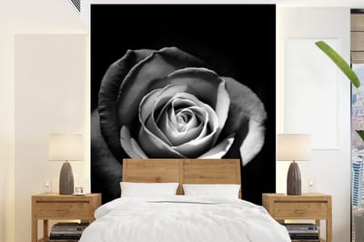 Behang - Fotobehang Bloemen - Zwart - Roos - Wit - Botanisch - Breedte 165 cm x hoogte 220 cm
