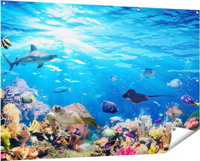 Gards Tuinposter Vissen met Koraalrif onder Water - 150x100 cm - Tuindoek - Tuindecoratie - Wanddecoratie buiten - Tuinschilderij
