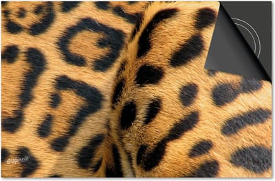 Inductie beschermer 60x60 - afdekplaat inductie mat - Dietrix Kookplaat beschermer - Exclusief - Dieren - Cheetahprint dichtbij