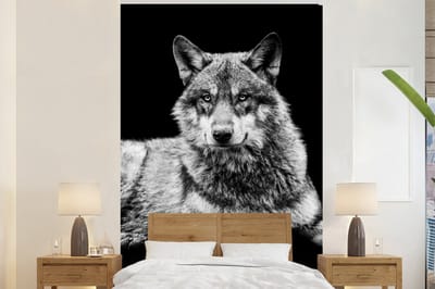 Behang - Fotobehang Wilde dieren - Wolf - Zwart - Wit - Breedte 195 cm x hoogte 300 cm
