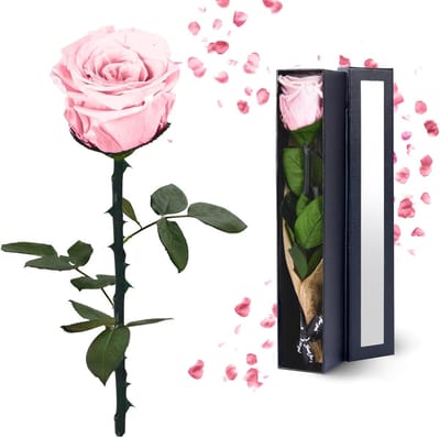 Roze geconserveerde roos - Eeuwige bloem Geschenk - Romantiek tonen - Blijft tot 5 jaar vers - 2946 cm hoog