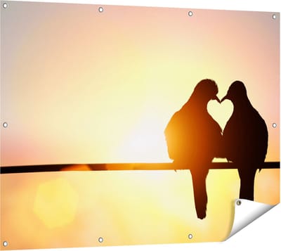 Gards Tuinposter Twee Silhouet Vogels in een Hart Vorm - 120x90 cm - Tuindoek - Tuindecoratie - Wanddecoratie buiten - Tuinschilderij