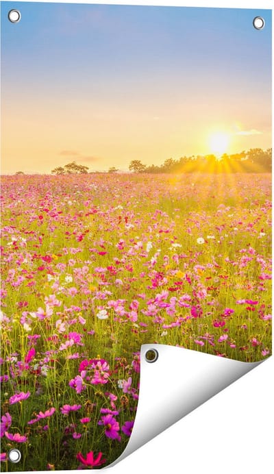 Gards Tuinposter Bloemenveld met Roze Kosmos - 40x60 cm - Tuindoek - Tuindecoratie - Wanddecoratie buiten - Tuinschilderij