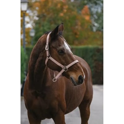 Nylon paardenhalster Equithème Spring