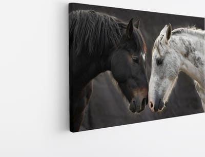 Saammp Canvas Schilderij - 2 Paarden - Liefdevol - Dieren - Natuur - 45x30 - Foto op canvas - Wanddecoratie - muurdecoratie Woonkamer - Slaapkamer decoratie - Canvas Print