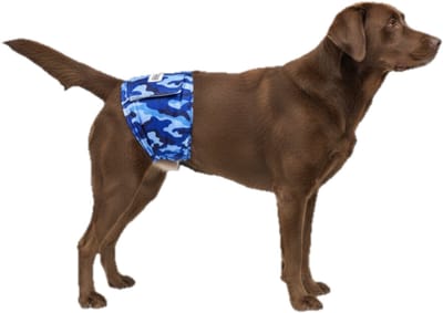 Sharon B - Hondenluier Camouflage Blauw - Honden - Hondenluiers Reu, Hondenbroekje, Hondenpampers, Luier Hond - Wasbaar - XL - 63 tot 80 cm
