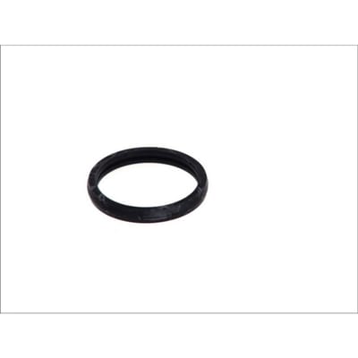 Pakking, thermostaat HANS PRIES 302 260