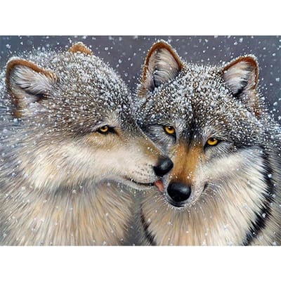 Diamant borduurwerk wolven diamant schilderij wolf kruissteek dier 5D DIY steentjes mozaïek kralen 20X30CM gray