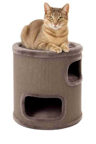 Krabton voor katten – Krabton Enes Grijs S – 37x37x60 cm – compacte en luxe krabmeubel – Flamingo First Class Selection