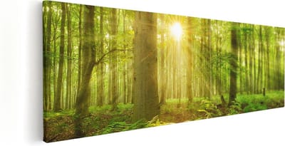 Artaza Canvas Schilderij Zonnestralen Bos - 60x20 cm - Wanddecoratie Woonkamer - Muurdecoratie Boom - Kamer Accessoires Natuur