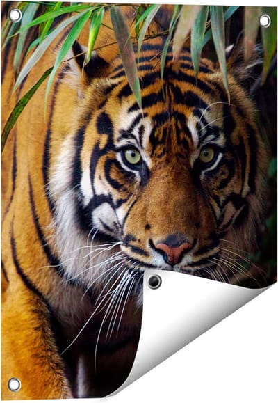 Gards Tuinposter Tijger in de Jungle - 40x50 cm - Tuindoek - Tuindecoratie - Wanddecoratie buiten - Tuinschilderij