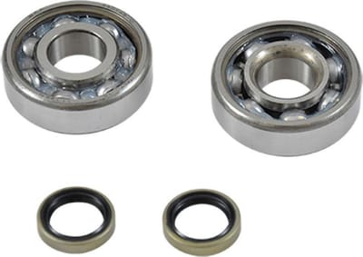 lager of motorafdichting fag voor bromfiets mbk 50 51 magnum racing nieuw