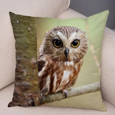 Schattig Dier Kussensloop Wilde Uil Kussenhoes Decoratief Sofa Thuis Kinderkamer 45x45cm