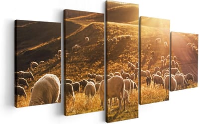 Artaza Canvas Schilderij Vijfluik Schapen in de Heuvels bij Zonsondergang - 100x50 - Foto Op Canvas - Canvas Print