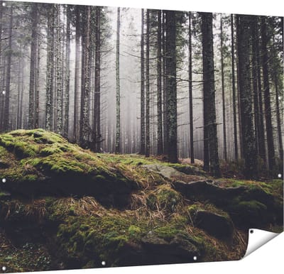 Gards Tuinposter Bos met Mos op Rotsen - 150x120 cm - Tuindoek - Tuindecoratie - Wanddecoratie buiten - Tuinschilderij