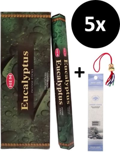 Wierook - Wierookstokjes - 5 Kokers - 100 Stokjes + 5 Mini Stokjes En 1 Gelukspoppetje - Geur Eucalyptus