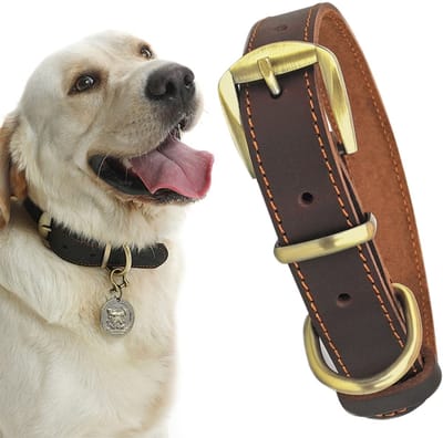 Echt lederen hondenhalsband - Maat M - Riem - Verstelbare leren halsband - Halsband voor honden - Messing gesp - Geschikt voor middelgrote honden - Bruin