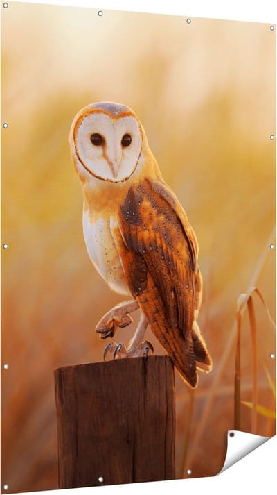 Gards Tuinposter Kerkuil op een Boomstronk - 120x180 cm - Tuindoek - Tuindecoratie - Wanddecoratie buiten - Tuinschilderij