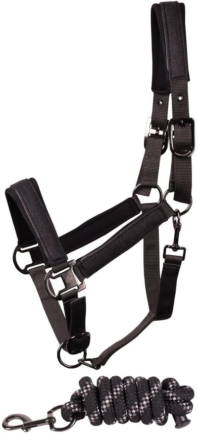 Harry's Horse - Halsterset Denici Cavalli Shadow - Black Sand - Pony