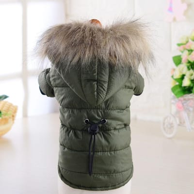 Hondenjas Kleine Hond Jas Winddicht Warm Gevoerd Dons Hoodie Sneeuwpak Mode Winter Hondenkleding Voor Kat Pup Chihuahua Yorkie (green,XS（old）) groen