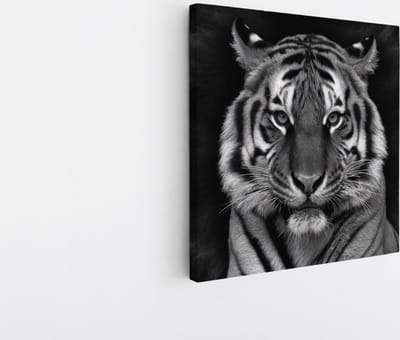 Saammp Canvas Schilderij - Tijger Portret - Abstract - Dieren - 20x20 - Foto op canvas - Wanddecoratie - muurdecoratie Woonkamer - Slaapkamer decoratie - Canvas Print