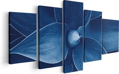 Artaza Canvas Schilderij Vijfluik Blauwe Agave Plant - Bloem - 100x50 - Foto Op Canvas - Canvas Print