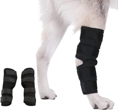 Knie- en Elleboogbeschermers voor Honden, Ondersteuning voor Voor- en Achterpoten, Dierlijke Bandage en Bescherming