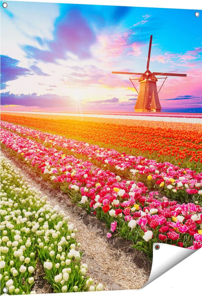 Gards Tuinposter Kleurrijke Bloemenveld met een Windmolen - 80x100 cm - Tuindoek - Tuindecoratie - Wanddecoratie buiten - Tuinschilderij