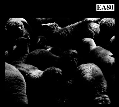 EA80 - Mehr Schreie (CD) (Reissue)