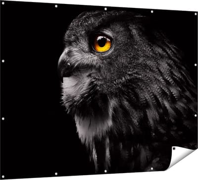 Gards Tuinposter Zwarte Uil met Gouden Ogen - 160x120 cm - Tuindoek - Tuindecoratie - Wanddecoratie buiten - Tuinschilderij