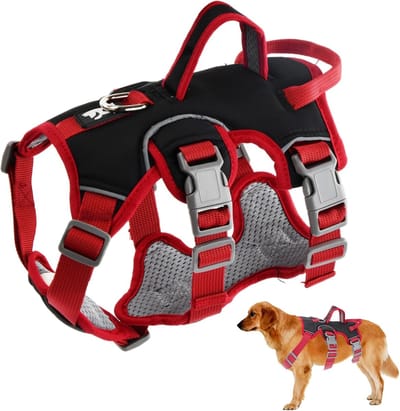 Famanu – Multifunctioneel hondentuig - Uitbraakvrij anti-trek hondentuig - Anti-trek hondentuig - Veiligheidstuig voor honden - Hondentuig voor kleine en middelgrote honden (Zwart - S)