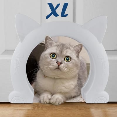 YAGXIG Groot Binnenluik voor Katten - Geschikt voor katten, kittens en kleine honden (wit)