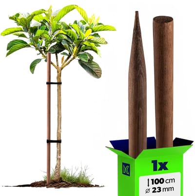 KADAX geïmpregneerde paal 23x100 BIM100 K16276