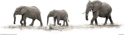 Mario Moreno The Elephants Poster 30.5x91.5cm