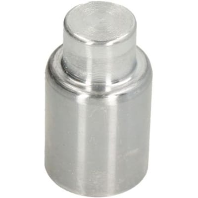 Zuiger, remklauw AUTOFREN SEINSA D025640, voor
