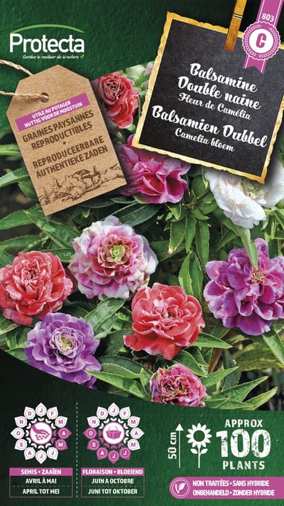 Protecta Bloemen zaden: Balsamien Camelia dubbel