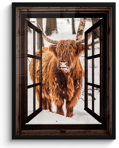 Poster in lijst - Fotolijst 50x70 cm - Posters - Schotse Hooglander - Sneeuw - Natuur - Dieren - Doorkijk - Winter - Posterlijst zwart - Decoratie - Wanddecoratie woonkamer - Muurdecoratie slaapkamer