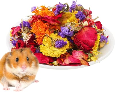 Hamsterkooi Beddengoed - Huisdier Bodembedekking - Kleine Dieren Verzorgen - Natuurlijke Bloemen Kruiden - 22 x 15 x 10 cm