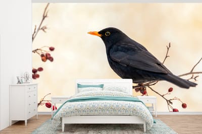 Behang - Fotobehang Merel - Vogel - Takken - Bes - Rood - Breedte 345 cm x hoogte 220 cm