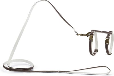 Designed by Lotte Virante Kattentuigje - Kattenharnas - Nylon - Bruin - 27-45 cm