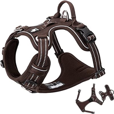 Reflecterend Hondentuig met Handvat en Voorclip - Neopreen Gewatteerd Harnas voor Medium tot Grote Honden