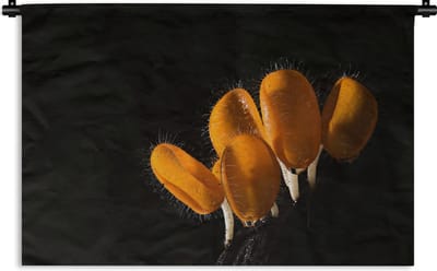 Wandkleed - Wanddoek - Oranje paddenstoelen in het donker - 120x80 cm - Wandtapijt