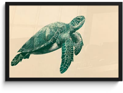 Poster in lijst - Fotolijst 60x40 cm - Posters - Schildpad - Sierlijk - Groen - Schild - Posterlijst zwart - Decoratie - Wanddecoratie woonkamer - Muurdecoratie slaapkamer