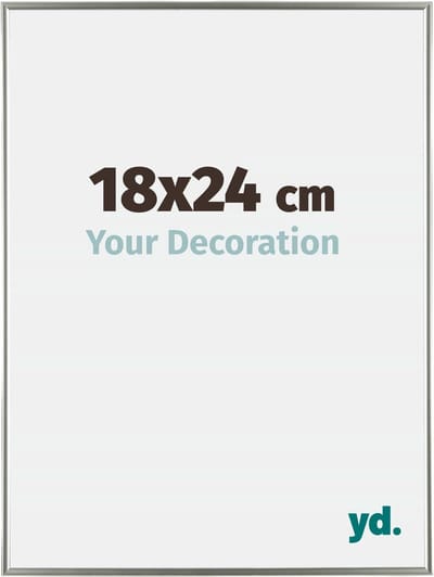 Your Decoration - Fotolijst 18x24 cm - Kunststof - Champagne - Evry